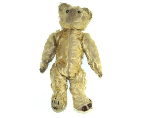 An early English gold plush teddy bearWith pointed snout and black leather button eyes, with articulated limbs, height 30cm.