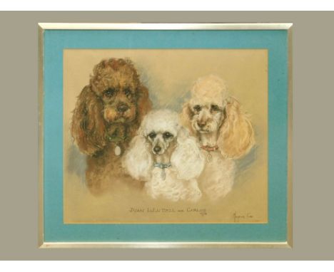 MARJORIE COX. 'Juan, Lulu Bell and Carlos', a dogs portrait. Pastel & pencil on paper. Signed, titled & dated 1974. 43 x 50cm