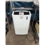 Delonghi Pinguino AC unit, 240v