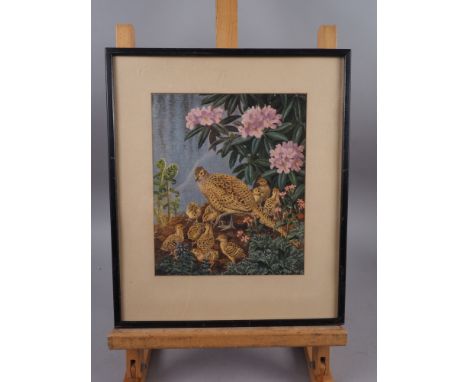 R Greenhalf: watercolours, "Little Stints &amp; Moorhen", 11 1/2" x 14", in gilt strip frame, L Dundas, bodycolours, "Geese c
