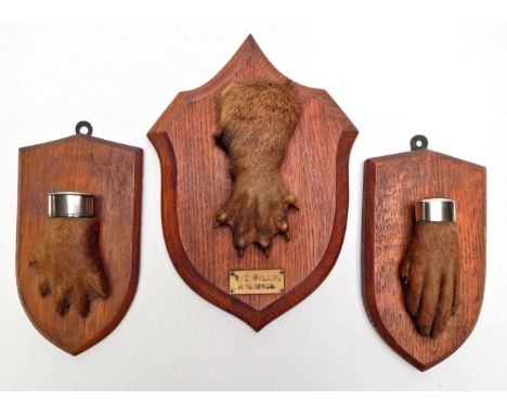 Taxidermy: Antique Eurasian Otter Paws (Lutra lutra), circa early 20th century, six various sized Otter paws, all mounted upo