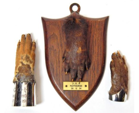 Taxidermy: Antique Eurasian Otter Paws (Lutra lutra), circa early 20th century, three various sized Otter paws, one mounted a