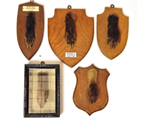 Taxidermy: A Collection of Red Fox Pads on Shields, by Edward Gerrard, Thomas Salkeld, Army &amp; Navy, W.W. Rowe. E. Chalkle
