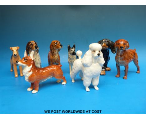 A mixed collection of Goebel and Beswick dogs including a large poodle, possibly Beswick Ivanola (unmarked)