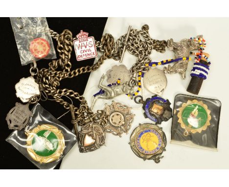 A SELECTION OF MAINLY MEDALLIONS, to include five early 20th century, silver enamel cricket related medallions, three Albert 