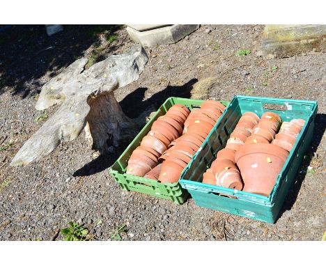 A ROOTWOOD COFFEE TABLE together with two trays of small terracotta pots (3)