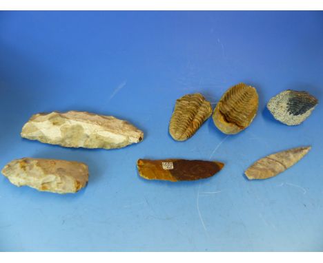 A COLLECTION OF EARLY KNAPPED FLINT TOOLS, SPEAR AND ARROW HEADS TOGTHER WITH TWO TRILOBITE FOSSILS