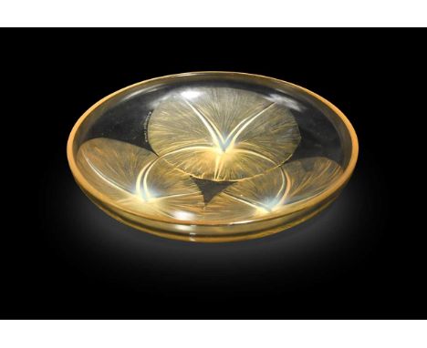 Volubilis, an R. Lalique amber glass bowl, designed 1921, the underside of the shallow circular bowl moulded in relief with t