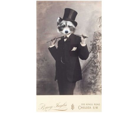 § Charlotte Cory (British 1956-) The gentleman raccoonsigned 'Charlotte Cory' (lower right)lithograph66.5 x 39.5cm