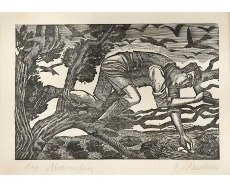 Boy Birdsnesting, 1927signed 'E.Ravilious' (lower right)wood engraving, unframed16 x 25cm (sheet)A prodigiously talented wate