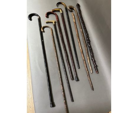 A bundle of various walking stick and canes including silver mounted, horn handled etc. 