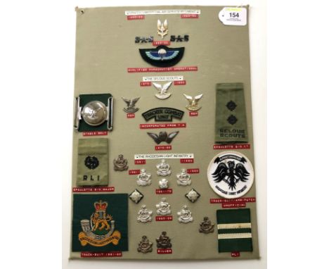 Rhodesian Special Air Service &amp; Selous Scouts 28 items of insignia.  Board with good tabulated display of metal and cloth