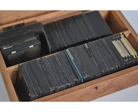 Magic Lantern Slides - Science, Medicine, Eye Tests and Nature together with a collection of single sheet microscope image ma