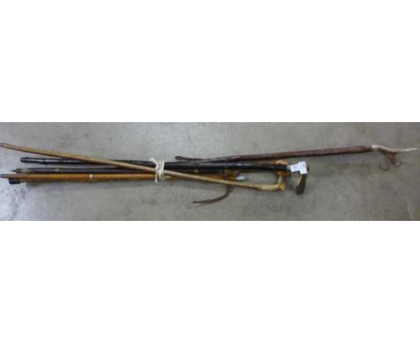 Walking sticks including one with carved dog's head and a swagger stick 
