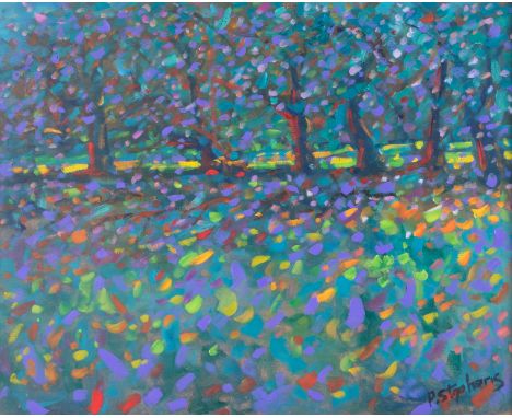 Paul Stephens, oil on board 'Apple Blossom Orchard', from the series 'Dappled Light', 39cm x 49cm, framed, Provenance; direct