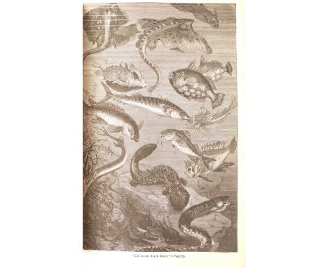 Verne, Jules Twenty Thousand Leagues Under the Seas Boston: Geo. M. Smith &amp; Co., 1873. First American edition, second pri