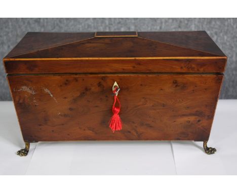 A Regency fitted yew wood tea caddy raised on brass lion's paw feet. H.26 W.32 D.17cm. 