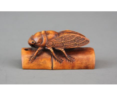 A signed carved fruitwood Netsuke of a cicada on a stem of bamboo with polished black onyx eyes, L. 5.2cm.