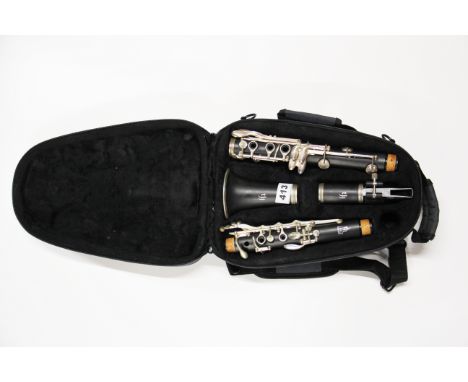 A cased clarinet.