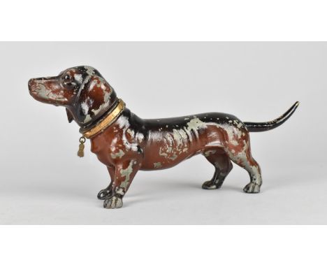 A Continental Cold Painted Spelter Novelty Table Top Lighter in the Form of a Daschund with Glass Eyes and Collar Havin Tag I