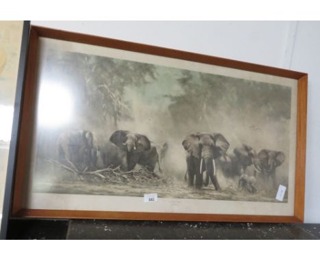 ELEPHANT PRINT