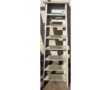 PAINTED WOODEN STEP LADDER