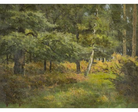 PAUL MÜLLER-KAEMPFF1861 Oldenburg - 1941 BerlinWALDINNERES Öl auf Leinwand. 30 x 40 cm (R. 43 x 54 cm). Signiert unten links 