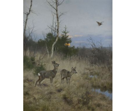 JOSEF SCHMITZBERGER1851 München - c. 1936MOORLANDSCHAFT MIT REHEN IN DER ABENDSONNE Öl auf Leinwand. 100 x 80 cm (R. 115 x 95