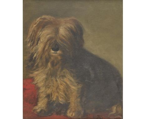 *Anderson (Lillian, early 20th century). A predecessor to Jock, 1904,  oil on canvas portrait of a Cairn terrier, hand-writte