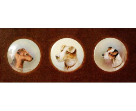 Three framed Royal Worcester roundels each hand painted with a terrier type dog in profile, one signed for A. Shuck and two f