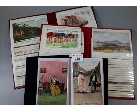 Three albums of various postcards to include topographical, architectural, humorous, Blackpool Tower, etc. (3)(B.P. 21% + VAT