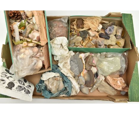 A BOX OF ROUGH GEMS, SHELL ETC., to include a fossil, rough pieces of lace agate, quartz, flint, hematite, gneiss, rhyolite, 