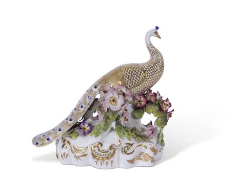 19th century Derby Stevens &amp; Hancock model of a peacock on flower encrusted base with gilt detailing, Derby S&amp;H mark 