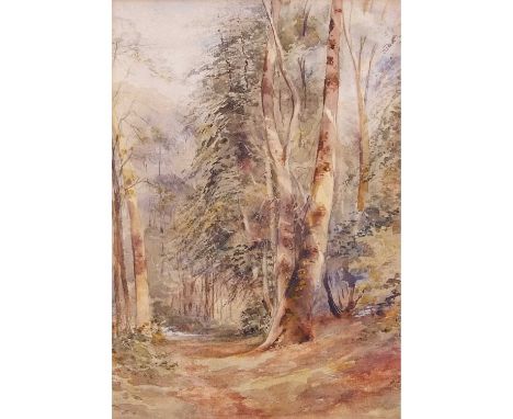 John Middleton (British, 1827-1856), Woodland, Banningham , Pencil, watercolour, unsigned, framed and glazed. 12x8.5ins
