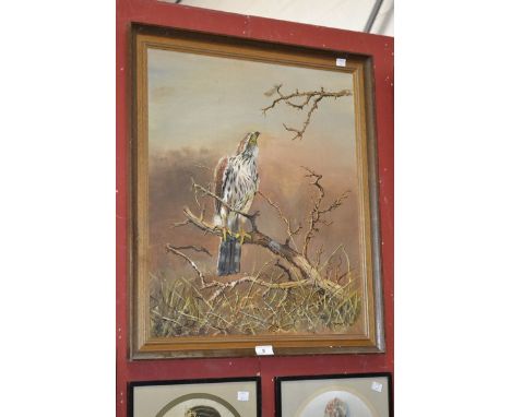 M DonnellyHawk Perched on a Branchsigned, oil