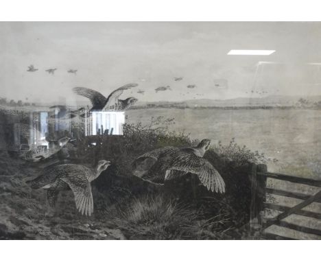 AFTER ARCHIBALD THORBURN "Partridges in flight", black and white print, signed in pencil lower left, artist's blind studio st