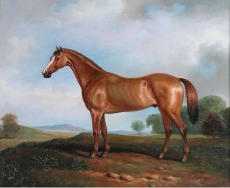 E. Maskey, 20th Century, A portrait of a horse in a landscape, signed 'E. Maskey' (lower right), oil on canvas, 50 x 60cm.