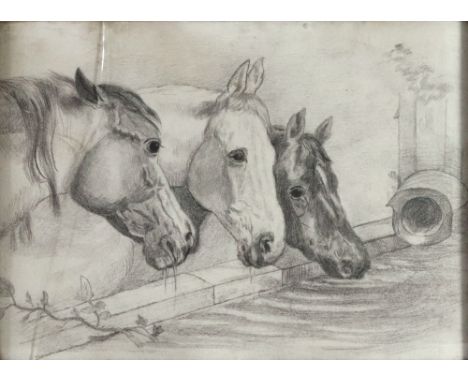 English School, late 19th/early 20th Century, Horses drinking at a trough, pencil, 33 x 45cm.