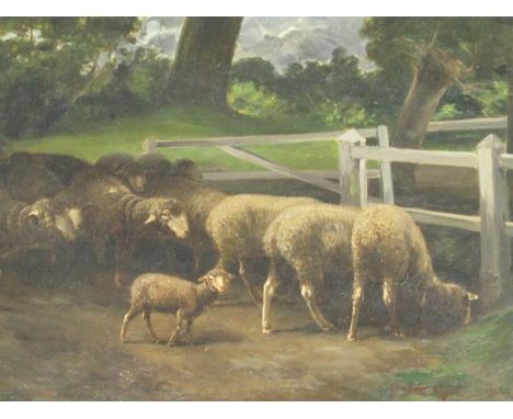 Vippusquer (19thC French School). Sheep in a field before gate and trees, oil on canvas, signed, 32cm x 45cm (AF). 