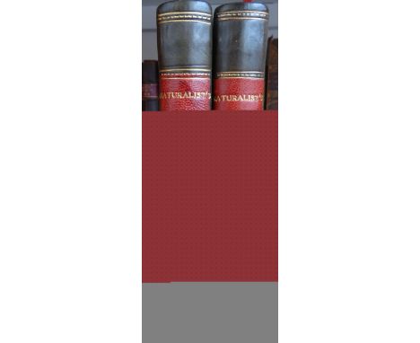 JARDINE (Wm.)  The Natural History of Humming-Birds. 2 vols., portrait frontispcs., hand-coloured vignette & printed titles, 