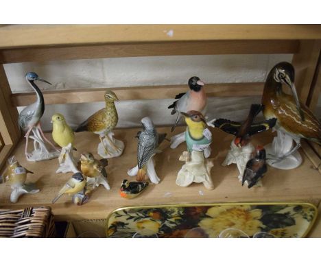 Collection of various assorted porcelain model birds to include a range of Karl Ens, Royal Worcester and others