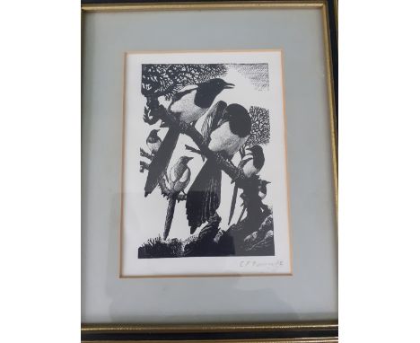 C F Tunnicliffe block black and white print of Magpies signed in pencil glazed and framed 10.5"x 8.5"60/80