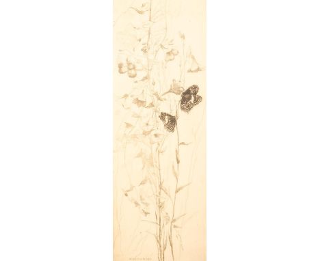 KATHERINE (KATE) CAMERON RSW ARE (Scottish, 1874-1965) *ARR*  Butterflies  Etching, signed and dated to the plate 1921, signe