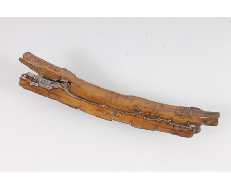 Fossil mammoth ivory, 18cm long, with ticket from Mr Wood's fossil shop.