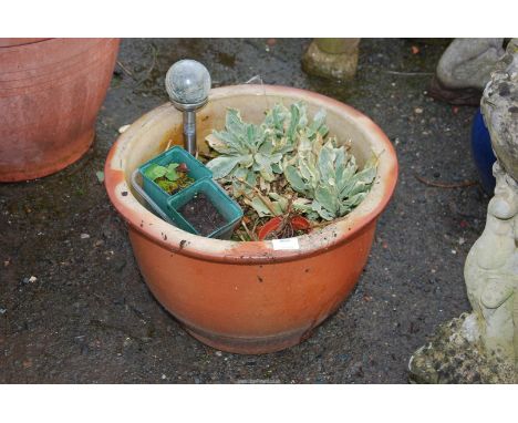 A glazed pot,and  solar light. 18 1/2" wide x 12 1/2" high.