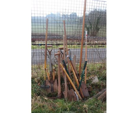 Large quantity of garden tools including spades, pruners, forks, etc.