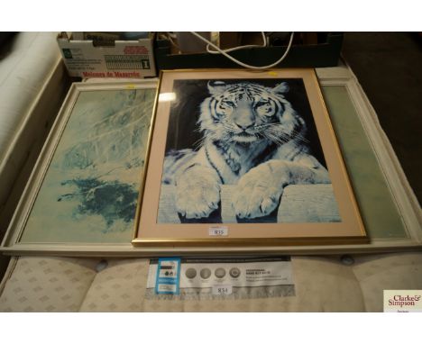 A photographic print of a tiger and a coloured print of a tiger