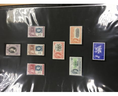 Two Albums containing well presented stamp collection including British commonwealth and early Elizabeth.