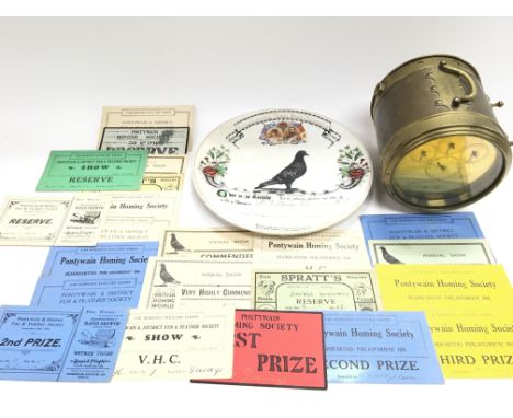 Collection containing a pigeon clock - plate and number of cards.