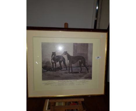 A GREYHOUND PRINT SIMONIAN AND PULLERTON